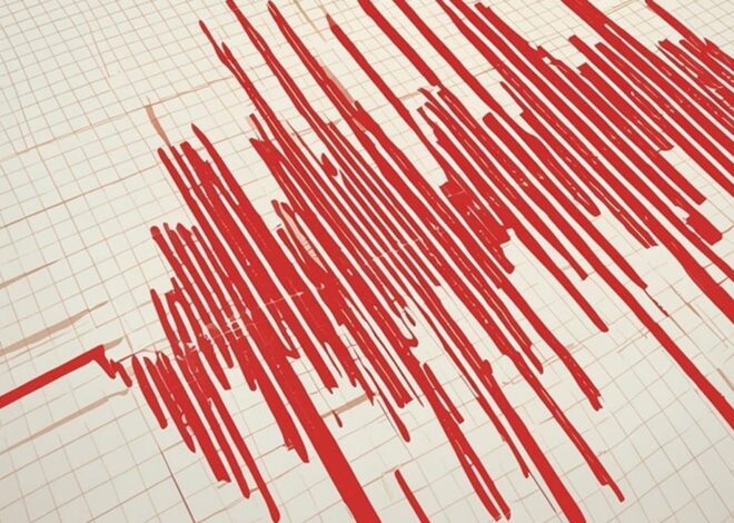 Japonya  6,2’lik depremle sallandı